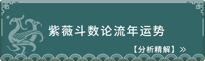 紫薇流年排盘